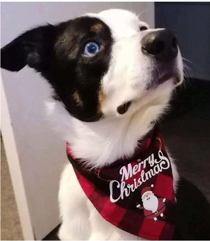 PAÑUELO TRIANGULAR PARA MASCOTA